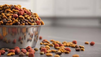 Things to Ask Before Buying Pet Food